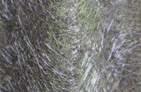 Splatt fibreglass roof work